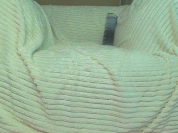 squikt bongacams stream image