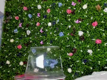 babyaylin chaturbate stream image