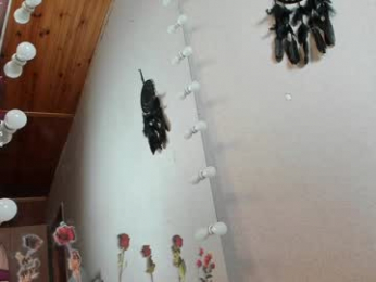 euphoria_life chaturbate stream image