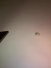 Im_Valentina stripchat stream image