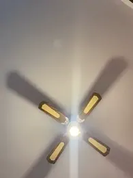 ilariea_girl stripchat stream image