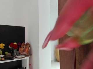 scarlett-harper camsoda stream image