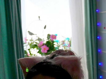 -ANN bongacams stream image