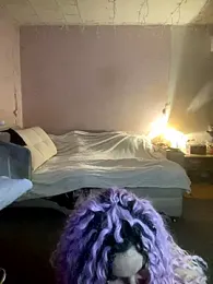 boniklayd stripchat stream image