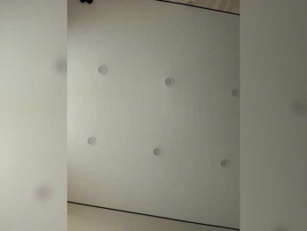 NorbertKlopp bongacams stream image