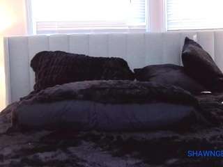 shawn-geni camsoda stream image