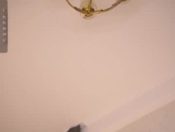 pafosstar chaturbate stream image