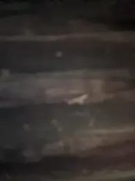 Xixi-Gala stripchat stream image