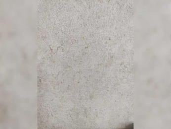 Angelia22 bongacams stream image