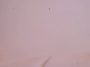 pafosstar chaturbate stream image