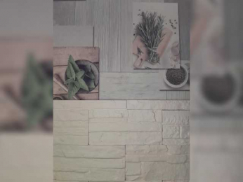 Anesteishen bongacams stream image