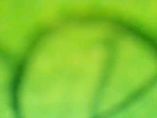 stalliontheesavage camsoda stream image