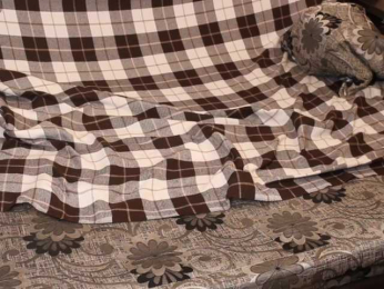 _Sunshine_ bongacams stream image