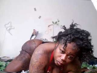 stalliontheesavage camsoda stream image