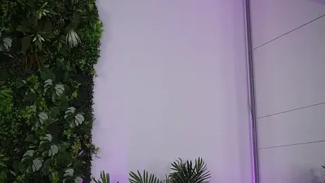 amiraroshen stripchat stream image