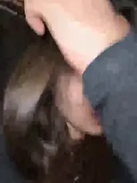 VelvetVixenI stripchat stream image