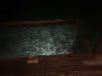 Taanni bongacams stream image