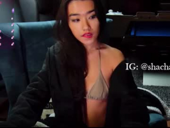 shachatte chaturbate stream image