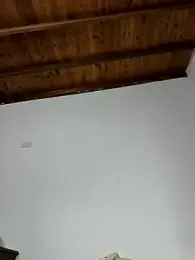 shelby_kutter stripchat stream image