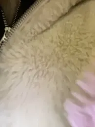 babydolll stripchat stream image