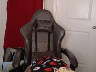 butterflybooty camsoda stream image