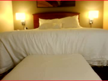 zina_sofia chaturbate stream image