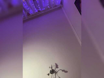 SHAWTY420 bongacams stream image