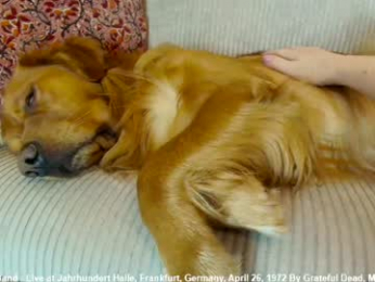 x_lily_x chaturbate stream image