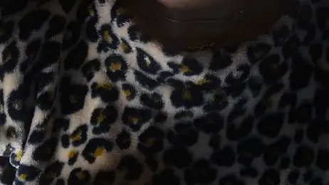 -AyeshaSinghania- stripchat stream image