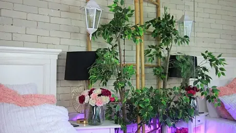 EmillyBronte stripchat stream image