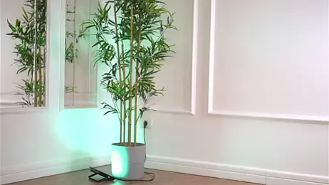 Cherrysweett stripchat stream image