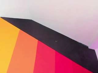 zaid-lion camsoda stream image