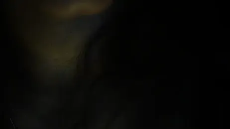 -AyeshaSinghania- stripchat stream image