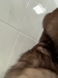 NewLale stripchat stream image