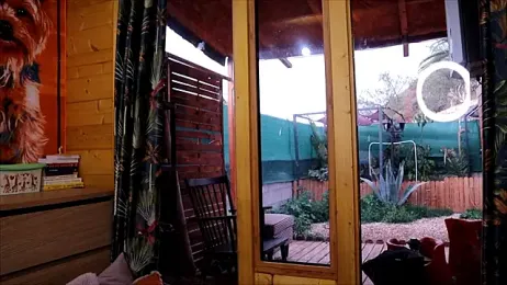 LittleMe97 stripchat stream image