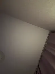 xDinnax stripchat stream image