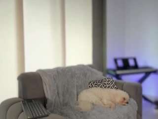 ashleygreene camsoda stream image