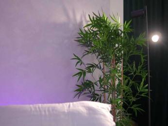 ArtTeasee bongacams stream image