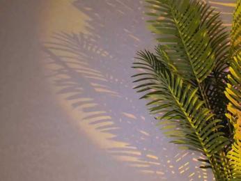 Maribett bongacams stream image