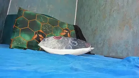 RedAssHottie stripchat stream image