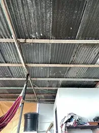 _SARA_69 stripchat stream image