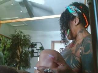 liquidfire camsoda stream image