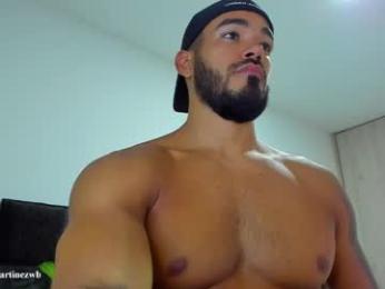 alexander_martines chaturbate stream image, 02.04.2026 01:00