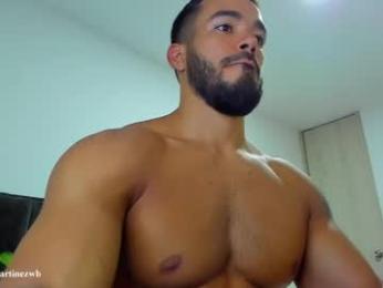 alexander_martines chaturbate stream image, 02.04.2026 01:00