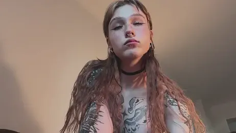 poli_blink stripchat stream image, 08.05.2026 14:10