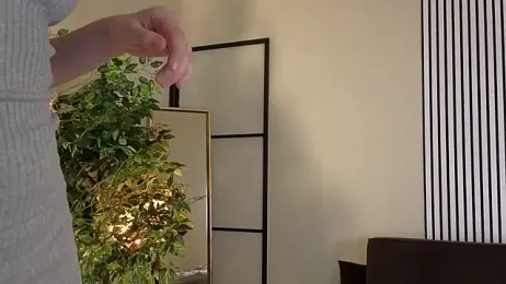 belinnycute stripchat stream image