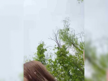 -EmilyBaby- bongacams stream image